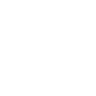 circle-icon